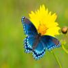 K3